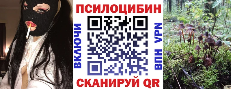 ссылка на мегу вход  Спас-Клепики  Галлюциногенные грибы Psilocybe 